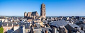 France,Aveyron,Rodez,roofs of the town and Notre Dame cathedral