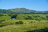 France,Cantal,Regional Natural Park of the Auvergne Volcanoes,monts du Cantal (Cantal mounts),vallee de Cheylade (Cheylade valley) at Le Claux