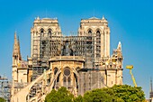Frankreich,Paris,Welterbe der UNESCO,Ile de la Cite,Kathedrale Notre Dame,Gerüst,Schutz nach dem Brand