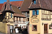 France,Haut Rhin,Eguisheim,labelled Les Plus Beaux Villages de France (The Most beautiful Villages of France),Vine Freudenreich Joseph et Fils