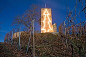France,Haut Rhin,Katzenthal,Wineck castle,vineyard Grand Cru Wineck Schlossberg,Christmas lights