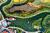 France,Charente-Maritime,Oleron island,Port of Salines,Grand Village (aerial view)