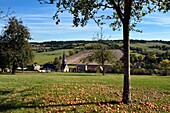 Frankreich,Orne,Pays d'Auge,Dorf de Camembert