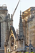 Frankreich,Paris,von der UNESCO zum Weltkulturerbe erklärtes Gebiet,Ile de la Cite,Kathedrale Notre-Dame,Gerüst
