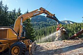 Frankreich,Haute Savoie,massif des Bornes,Glieres Plateau Rutschenholz mit Kabel auf Mast von der Firma Mabout