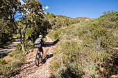 France,Var,Frejus,Esterel massif,hikes to Mont Vinaigre on the GR 51