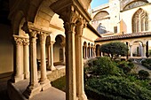 France,Bouches du Rhone,Aix en Provence,Saint Sauveur cathedral,Romanesque cloister of the end of the 12th century