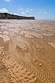 France,Pas de Calais,Opal Coast,Great Site of the two Caps,Escalles,Cap Blanc nez,the beach of Escalles and the cliffs of Cap Blanc Nez