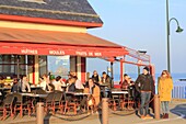 France,Ille et Vilaine,Emerald Coast,Cancale,bar on the waterfront
