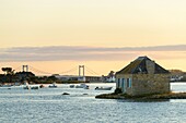 Frankreich,Morbihan,Belz,Nichtarguer-Insel am Etel-Fluss bei Sonnenuntergang