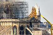 France,Paris,area listed as World heritage by UNESCO,Ile de la Cite,Notre Dame Cathedral,scaffolding,protection after the fire