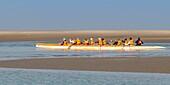 France,Somme,Baie de Somme,Le Hourdel,Indonesian canoes and canoe kayak during high tides,the boats come to wait for the flow and the tidal bore at the entrance of the bay and then go up helped by the strong current,sometimes accompanied by the seals,some fail their boat on the sandbanks to watch the birds dislodged by the tide