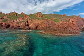 Frankreich,Corse du Sud,Golf von Porto,von der UNESCO zum Weltnaturerbe erklärt,Naturschutzgebiet Scandola