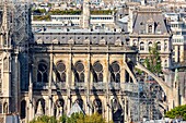 France,Paris,area listed as World heritage by UNESCO,Ile de la Cite,Notre Dame Cathedral
