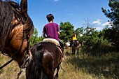 France,Gironde,Val de L'Eyre,Parc Naturel Régional des Landes de Gascogne,horseback ride with Caballo Loco,a Chilean family specializing in equestrian art(aerial view)
