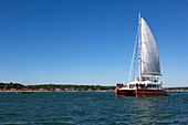 France,Gironde,Bassin d'Arcachon,l'Ile aux Oiseaux,cruising catamaran the Cote d'Argent