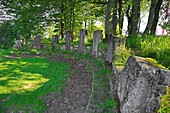 Frankreich,Vogesen,Col du Donon,Die Stelen des Merkur beim Aufstieg zum Donon