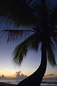 Karibik,Sonnenuntergang über Magazine Beach,Grenada