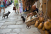 A dog encounter along the shopping street of rue Clemenceau. Calvi. The Balagne district. Corsica. France