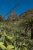 Spain,Canary Islands,Roque de Agando in Integral Nature Reserve,Island of La Gomera