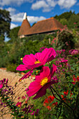 UK,Perch Hill Farm and Gardens,East Sussex