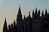 Spain,Majorca,Detail of cathedral at dusk,Palma