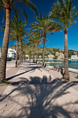 Spanien,Schatten von Palmen auf der Promenade neben dem Strand von Port Soller, Mallorca