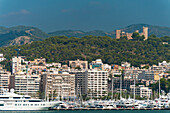 Spain,Majorca,Castell de Bellver above port and city,Palma