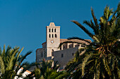 Spanien,Ibiza,Palmen und Kathedrale Santa Maria,Ibiza-Stadt
