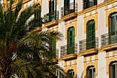 Spain,Ibiza,Old residential building and palm tree,Ibiza Town