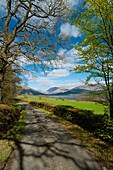 UK,Scotland,Looking down small country lane to Loch Creran,Argyll and Bute