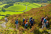 England,Cumbria,Parents leading children up path near Little Langdale,Lake District National Park