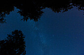 France,Normandy,Clear starry sky over forest,Le Brevedent
