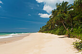 Sri Lanka,Blick auf den Strand,Unawatuna