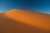 Morocco,Detail of sand dune in Erg Chebbi area,Sahara Desert near Merzouga