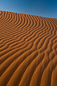 Marokko,Detail einer Sanddüne im Erg Chebbi-Gebiet, Sahara-Wüste bei Merzouga