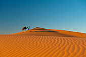 Marokko,Berber 'Blauer Mann' führt Kamel über Sanddünen in der Abenddämmerung im Erg Chebbi Gebiet,Sahara Wüste bei Merzouga