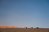Marokko,Erg Chebbi Gebiet,Sahara Wüste bei Merzouga,Nomadenhirten Lager