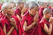 Junge Mönche bei den Belehrungen des Dalai Lama. Der Dalai Lama besuchte im August für vier Tage Leh, Ladakh, eine buddhistische Enklave in Nordindien.