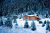 Norway,Sognefjord,winter wonderland,Ortnevik,Alpine Log cabin in snow,Pine forest Brekke Rental Cabins,snow,Mountains,Winter Alpine scenery
