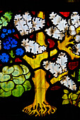 Uk,Rousham Church,Oxfordshire,Stained Glass Window