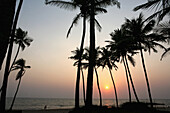 Palmen bei Sonnenuntergang, Anjuna Beach, Bundesstaat Goa, Indien, Asien.