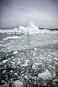 Grönland,Eisfjord,Ilulissat,Unesco-Welterbe