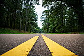 USA,Mississippi,Close-up of road in Natchez Trace Parkway,Natchez