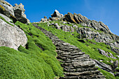 UK,Ireland,County Kerry,Skellig Islands,Footpath climbing up Skellig Michael