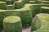 UK,England,Oxfordshire,Das Marlborough-Labyrinth im Blenheim Palace,Woodstock