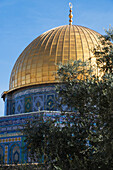 Israel,Jerusalem Old City,Dome of Rock,Jerusalem