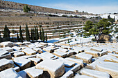 Israel,Mount of Olives,Jerusalem,2013,Snow in city January 10