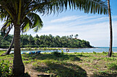 Myanmar,Sea cove with mangrove and coconut trees,Irrawaddyi division