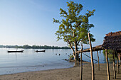 Myanmar (Burma),river and mangrove,Irrawaddyi division,Landscape with boat